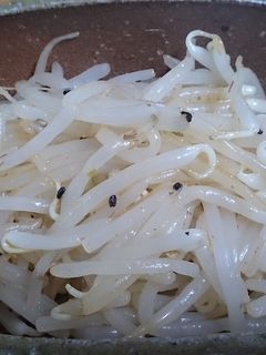 もやしのナムル-レシピのメイン写真