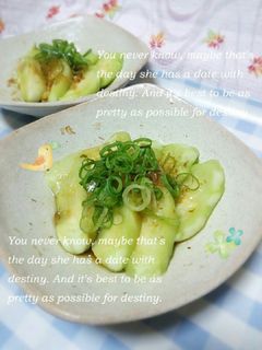 ダイエット☆超簡単!蒸し茄子☆21㌍-レシピのメイン写真