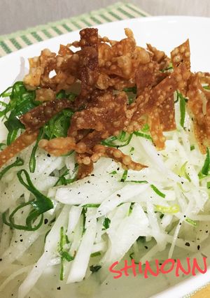 創味シャンタンDXで♪ネギと大根のサラダ-レシピのメイン写真