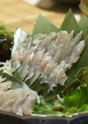ヒラメの姿作り-レシピのメイン写真