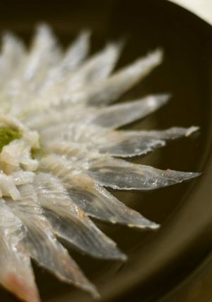 ヒラメの薄造り-レシピのメイン写真