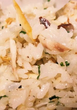塩さばリメイク☆すし酢でさっぱり混ぜご飯-レシピのメイン写真