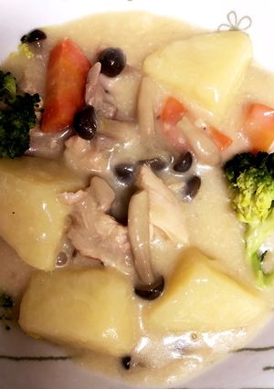 米粉と豆乳で★ヘルシーシチュー-レシピのメイン写真