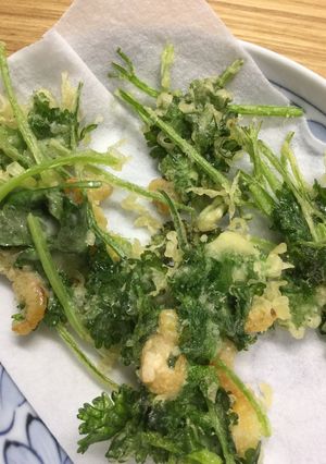 パクチーのてんぷら-レシピのメイン写真