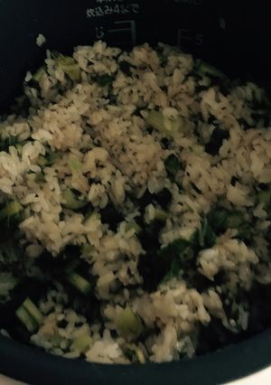 野沢菜と塩昆布の混ぜご飯-レシピのメイン写真