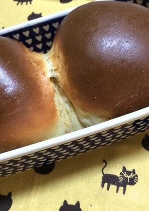 糖質制限de大豆パン-レシピのメイン写真