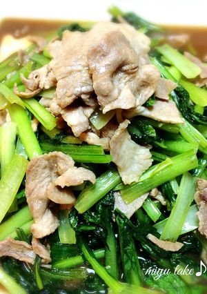 小松菜と豚肉のオイスター炒め♪-レシピのメイン写真