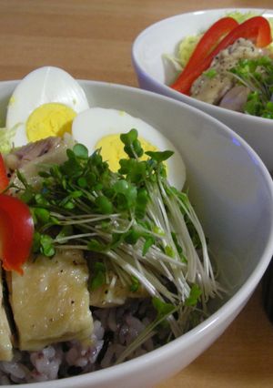 鶏ごはん~アジアの屋台みたい~-レシピのメイン写真
