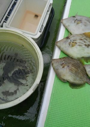 かわはぎ料理に合わせた切り方とか-レシピのメイン写真
