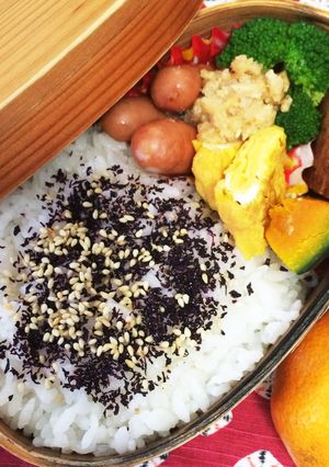 ランチ！わっぱ弁当で昼ごはん。その26-レシピのメイン写真