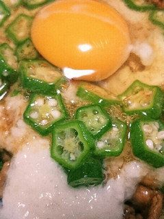 我が家のスタミナ丼-レシピのメイン写真