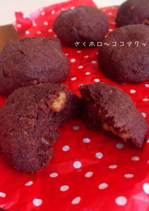 サクサク！ほろほろ〜♡なココアクッキー☆-レシピのメイン写真