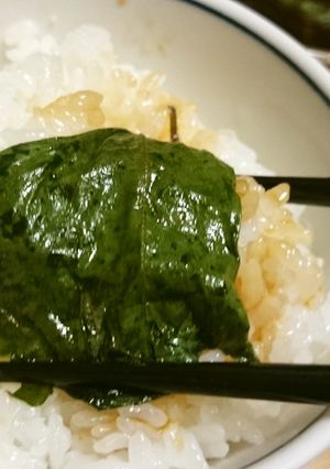 ☆簡単!! ご飯のお供に♪大葉漬け☆-レシピのメイン写真