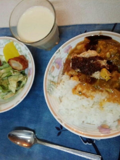 血管ダイエット食583(無油カツカレー)-レシピのメイン写真