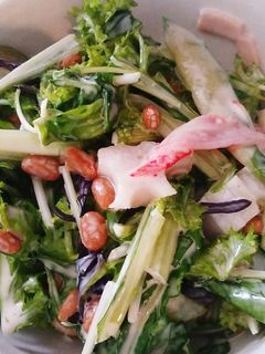 納豆サラダ-レシピのメイン写真