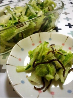 白菜と胡瓜の塩昆布和え-レシピのメイン写真