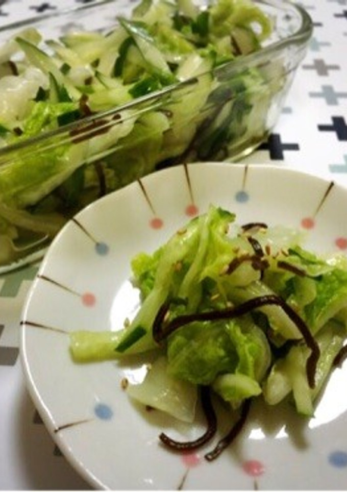 白菜と胡瓜の塩昆布和え-レシピのメイン写真