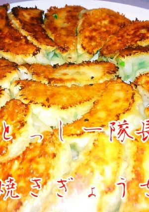 こだわりの焼き餃子-レシピのメイン写真