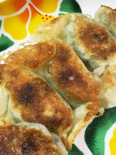 もちもち羽根つき餃子-レシピのメイン写真