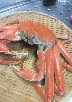カニを茹でる-レシピのメイン写真