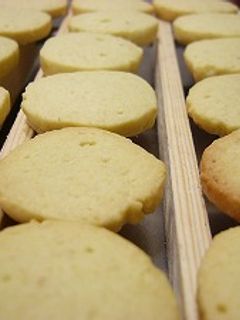 オリーブオイルのレモンクッキー-レシピのメイン写真