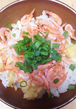 駿河湾の桜エビ丼-レシピのメイン写真
