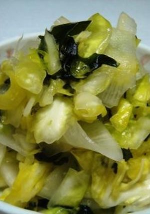 春キャベツ&わかめの即席漬け-レシピのメイン写真