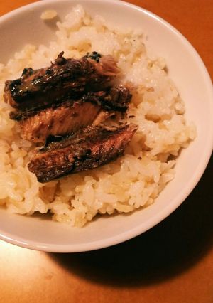 いわしと高野豆腐の発芽米入炊き込み御飯-レシピのメイン写真