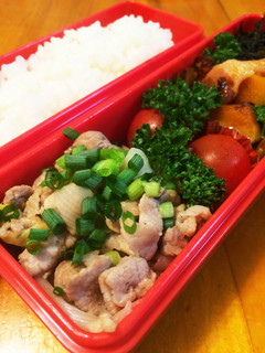 豚肉と長ネギの塩ダレ お弁当にも-レシピのメイン写真
