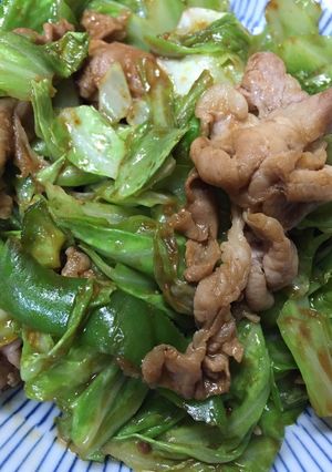 シャンタンとつけてみそで簡単回鍋肉-レシピのメイン写真