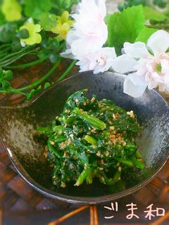 茹でて混ぜるだけ♡ほうれん草のごま和え-レシピのメイン写真