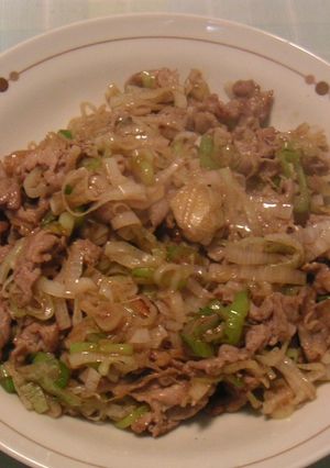 ネギと豚肉の細切り炒め-レシピのメイン写真