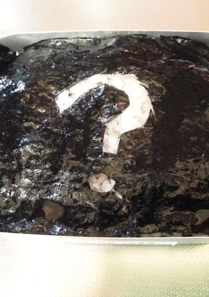 ひみつ弁当-レシピのメイン写真