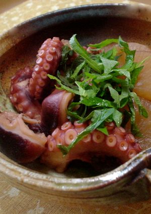たこ大根の醤油煮-レシピのメイン写真