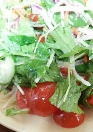 新鮮な野菜サラダ(フレンチドレッシング)-レシピのメイン写真