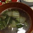 創味シャンタンで白菜の簡単スープ