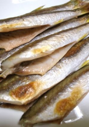 あかカマスの塩焼き、おろし、カボス添え-レシピのメイン写真