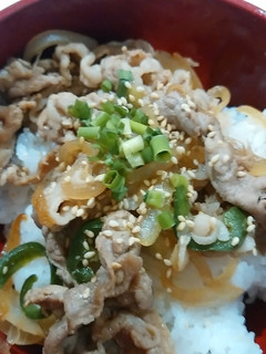 豚肉どんぶり-レシピのメイン写真