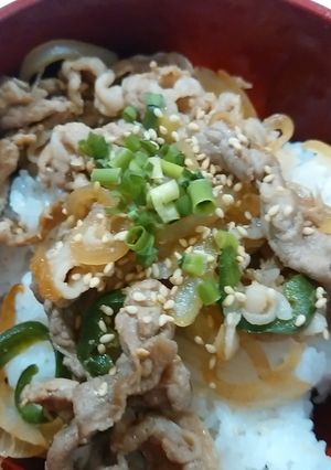 豚肉どんぶり-レシピのメイン写真