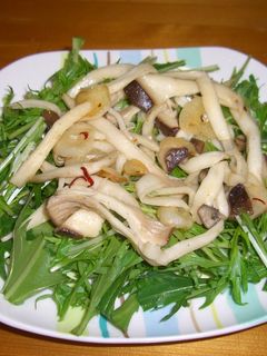 水菜のサラダ☆-レシピのメイン写真