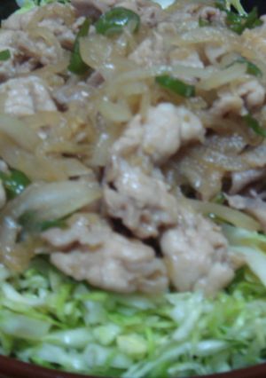 +♫+タレたっぷり生姜焼き+♫+-レシピのメイン写真