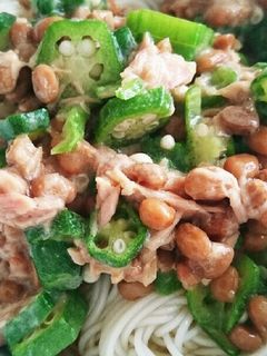 ネバネバぶっかけそうめん-レシピのメイン写真
