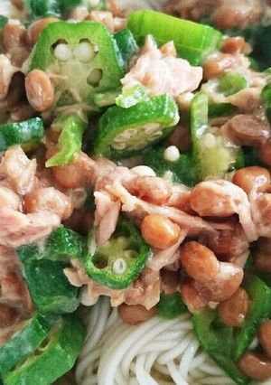 ネバネバぶっかけそうめん-レシピのメイン写真