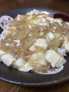 身体ポカポカ 中華肉そぼろ豆腐あんかけ丼-レシピのメイン写真