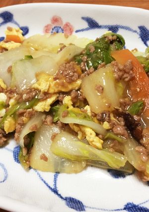白菜とひき肉のトロトロ煮-レシピのメイン写真
