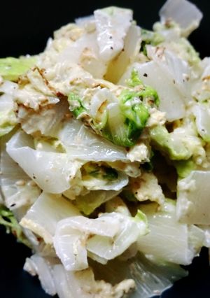 白菜サラダ-レシピのメイン写真