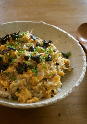 しらすの旨みたっぷりトロトロ玉子丼-レシピのメイン写真