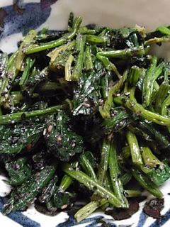 ほうれん草の胡麻和え-レシピのメイン写真