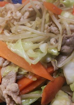 忙しいお父さんでも出来る 野菜炒め-レシピのメイン写真