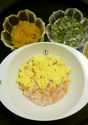 8ヶ月ベビーの離乳食(12/3夜)-レシピのメイン写真